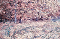 GSM_IR_20240506_004-26+27_Helicon_edit3_VERO
